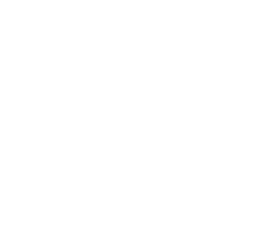 Globelectra_Logo_WEBSITE_WHITE-02