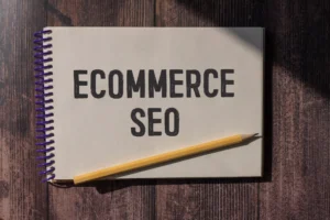 SEO in vadodara